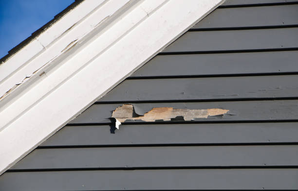 Affordable Siding Repair and Maintenance Services in Chesterton, IN